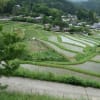 大阪府　能勢の棚田と三草山