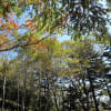 紅葉が始まった皇海山