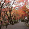 神峯山寺で紅葉狩り２０１７