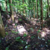野尻城