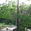 あの頃チャンネル(2009年05月24日～2009年05月30日)