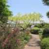 みずの森丘の上の花園２０１５年５月１１日