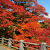 古峯園と大芦渓谷の紅葉
