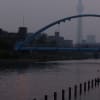 夕方のスカイツリーと河原の鳥