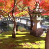 永観堂の紅葉　2016