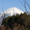新春・白雲去来、富士山の思いでスペシャル