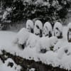 『泉山雪景色』