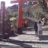 熊野古道をチョッピリ歩く