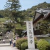 奈良の長谷寺の花