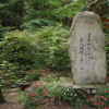 穂高神社　２０１１年６月１１日