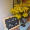 ヒトツボアルバム