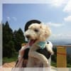 あの頃チャンネル(2011年07月24日～2011年07月30日)