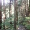 高川山の登山