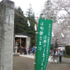 2014石原お花見