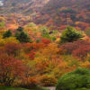 那須・姥ヶ平の紅葉絶景