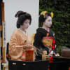 京このごろ・・・１１月４日・５日