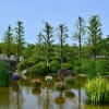 草津水生植物公園みずの森　5月14日