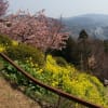 2014.3.12 あぐりパーク嵯峨山苑
