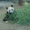 動物（水族館・動物園）