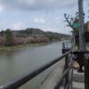 金沢旅行（茶屋町散策）