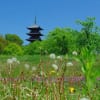 中国地方の華 Nhk杉浦圭子アナウンサー 岩清水日記