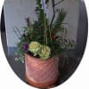 2011花暦用の写真　案