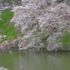 あの頃チャンネル(2010年04月04日～2010年04月10日)