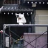 京都御所＃２　平成２３年４月