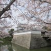 2012年4月15日　東海道徒歩の旅20（水口宿、石部宿、草津宿）（その1）