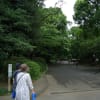 お盆の上野公園