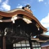 紅葉にはまだ早い京都