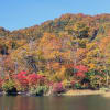 妙高高原の紅葉