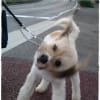 あの頃チャンネル(2011年07月17日～2011年07月23日)