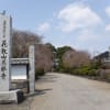 シダレザクラの慈眼寺