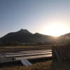 ２０１９年４月 　由布院より愛をこめて