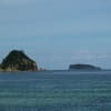 コスモスと日本海の海はきれいです～～～
