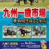 【九州1歳市場2022(Kyusyu Sale)】の「上場馬名簿」が発行