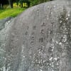 霞ヶ城址を悠々と歩く