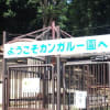 カンガルーチャンネル。