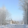 美しい樹氷の世界