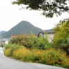 山口の散歩道