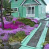 yotutiの写真日記…芝桜の三島さん家