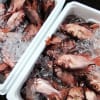 年に2回だけ眩しくなる小田原魚市場|JSフードシステム