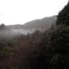 あの頃チャンネル(2012年03月25日～2012年03月31日)総本山へ・友宅で・自然
