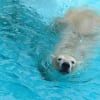 浜松動物園