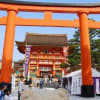 強運になる！ネコのミモロのおすすめパワースポット