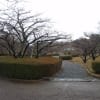 雨の岩本山公園