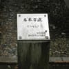 桜上水密蔵院のヤマモミジ　老木でした。