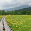 尾瀬へ行ってきました