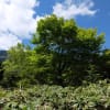 中央アルプス・恵那山（１）